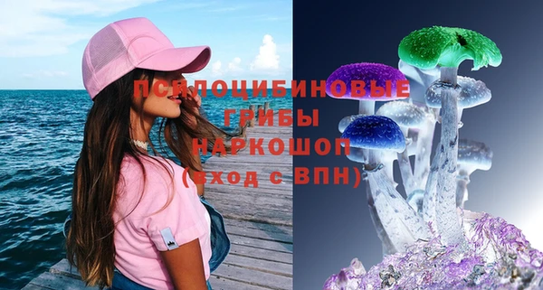 соль ск Аркадак