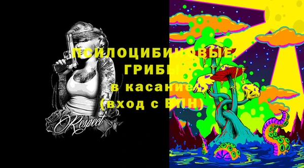 соль ск Аркадак