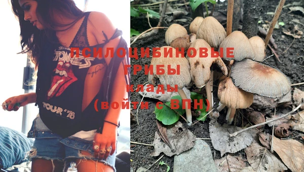 PSILOCYBIN Армянск